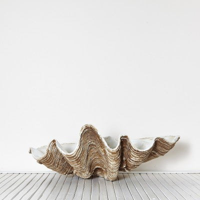 Clam Shell Vintage - Large - Drift Home and Living