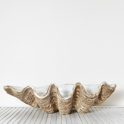 Clam Shell Vintage - Giant - Drift Home and Living
