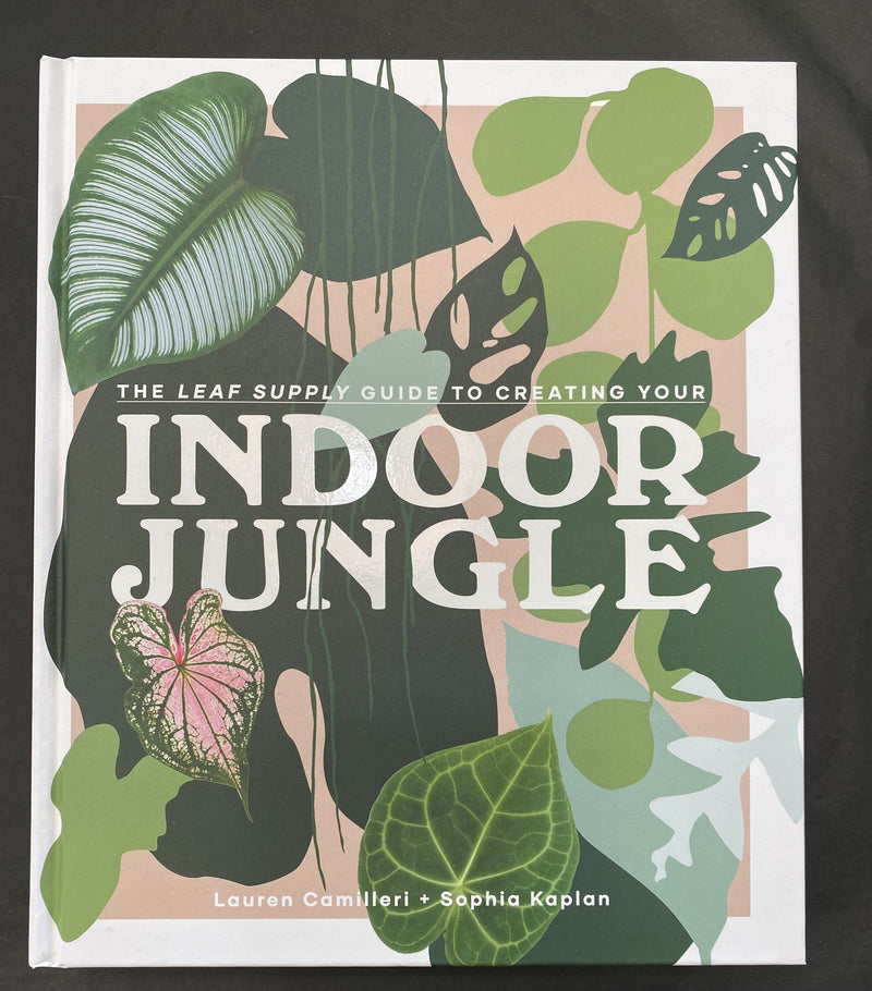 Indoor Jungle - Drift Home and Living