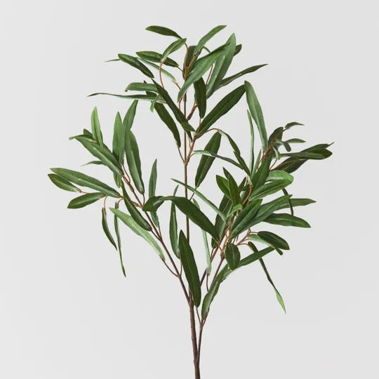 Olive Leaf Spray - Drift Home and Living