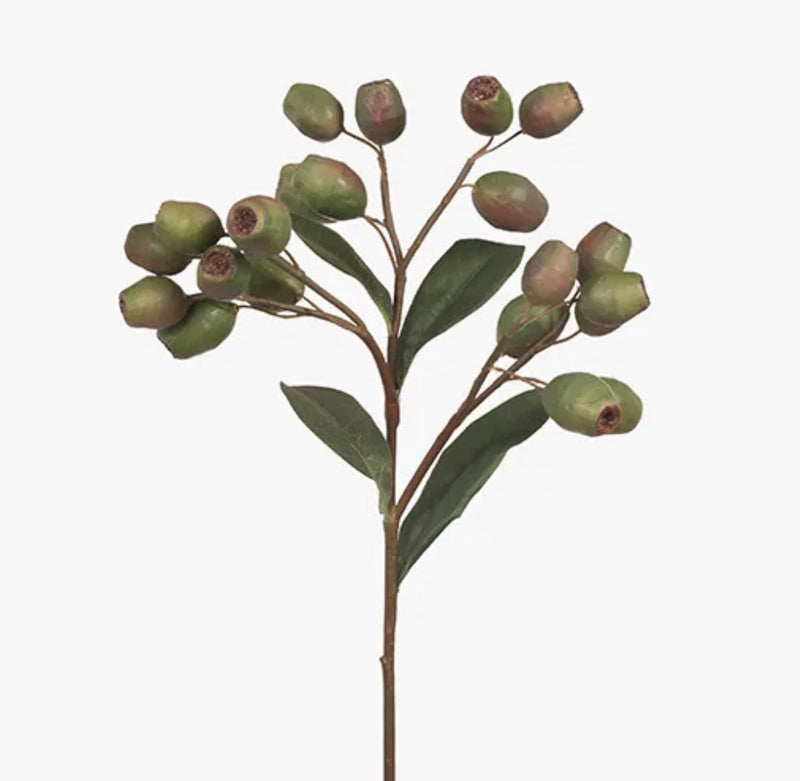 Eucalyptus Gum Nut - Drift Home and Living