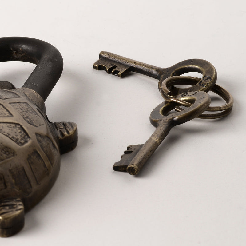 Turtle Lock - Antique Brass - Drift Home and Living